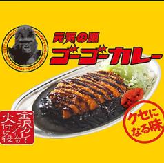 ゴーゴーカレー秋葉原中央通店