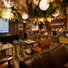 Shisha Lounge HANOMALY ハノマリー 歌舞伎町